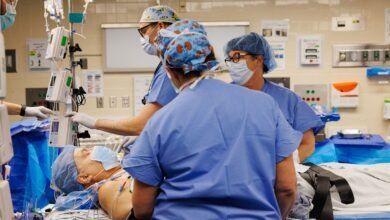 Transplanted Pig Kidney Still Working After a Record-Setting 9 Months in a Patient Transplanted Pig Kidney Still Working After a Record-Setting 9 Months in a Patient