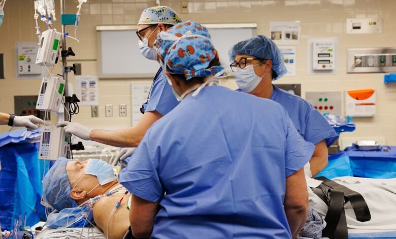 Transplanted Pig Kidney Still Working After a Record-Setting 9 Months in a Patient Transplanted Pig Kidney Still Working After a Record-Setting 9 Months in a Patient
