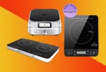 The Finest Induction Burner for Exact, Environment friendly Cooking Simply About Anyplace (2026)