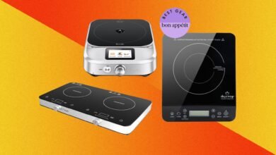 The Finest Induction Burner for Exact, Environment friendly Cooking Simply About Anyplace (2026)