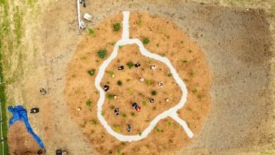 Croatia crops its first ‘Crošnjica’