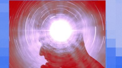 Who Cares if AI Is Conscious—It’s Basically Alive