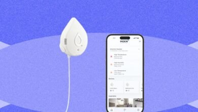 Keep Your Home Safe and Dry With the Best Water Leak Detectors