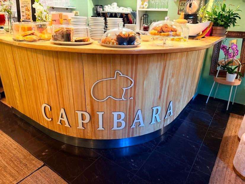 Women with Croatian roots from Peru and Paraguay move to Zagreb and open café (5)