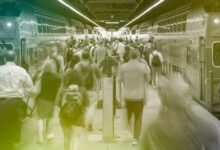 Has the A.I. Job Apocalypse Been Postponed?