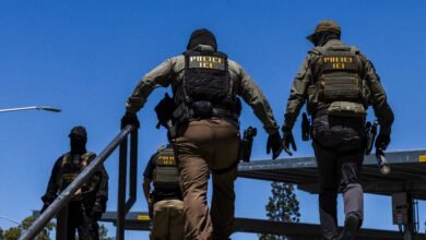 ICE Plans to Pay Million to Create National Voting Database ICE Plans to Pay Million to Create National Voting Database