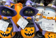 Halloween Spending Will Hit a Document .5 Billion, Regardless of Scary Sweet Costs