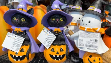 Halloween Spending Will Hit a Document .5 Billion, Regardless of Scary Sweet Costs