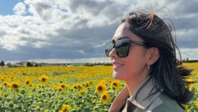 6 Reasons to Eat Sunflower Seeds Daily
