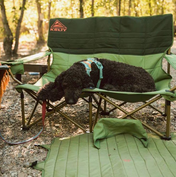 A dog sitting in the Kelty Low Loveseat