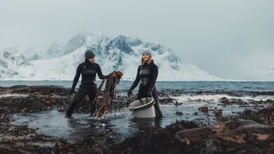 Meet the Women Leading Norway’s Seaweed Revolution