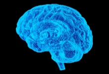 Which Job Has the Lowest Risk of Alzheimer’s? (And What That Can Teach You About Avoiding Dementia) 