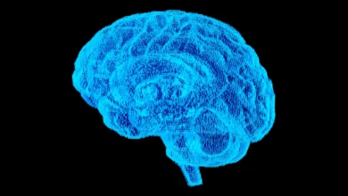 Which Job Has the Lowest Risk of Alzheimer’s? (And What That Can Teach You About Avoiding Dementia) 