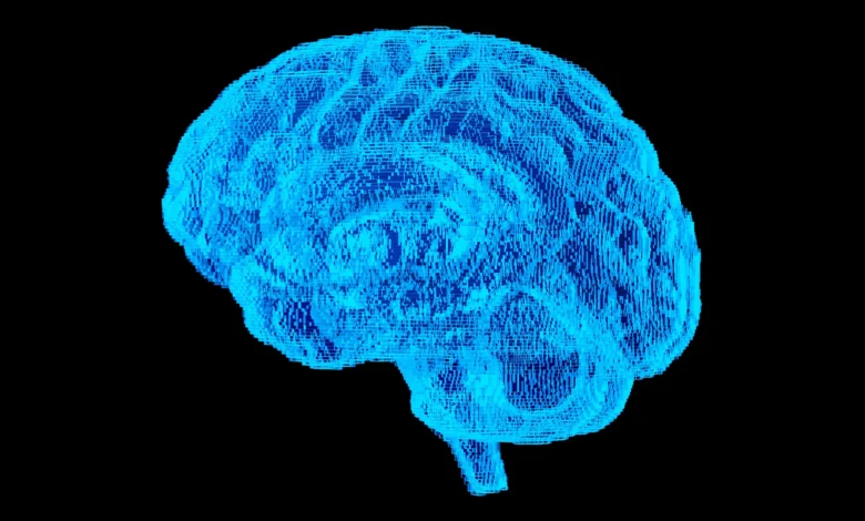 Which Job Has the Lowest Risk of Alzheimer’s? (And What That Can Teach You About Avoiding Dementia) Which Job Has the Lowest Risk of Alzheimer’s? (And What That Can Teach You About Avoiding Dementia)