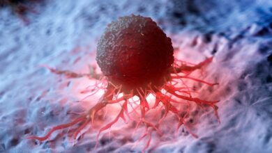 ‘Sensible’ Nanoparticles Ship mRNA On to Tumors in New Most cancers Remedy