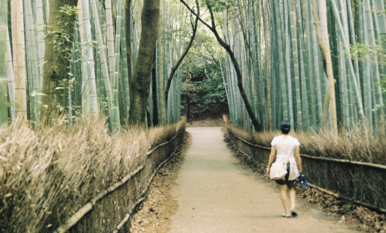 How the Japanese Practice of “Forest Bathing”—Or Just Hanging Out in the Woods—Can Lower Stress Levels and Fight Disease How the Japanese Practice of “Forest Bathing”—Or Just Hanging Out in the Woods—Can Lower Stress Levels and Fight Disease