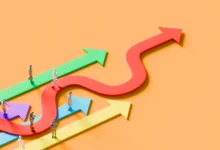 Your Greatest Prospects Could Be Accidents. Audit the Income Earlier than You Plan What Comes Subsequent