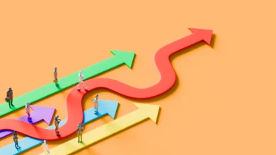 Your Greatest Prospects Could Be Accidents. Audit the Income Earlier than You Plan What Comes Subsequent