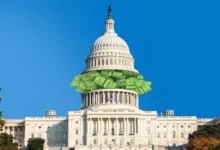 The U.S. Government Owns Pieces of More Companies Than It Used To. Here’s Why It Matters