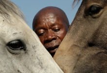 Enos Mafokate, South Africa’s first Black show jumping champion, dies at 80