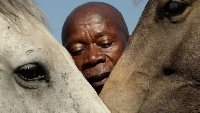 Enos Mafokate, South Africa’s first Black show jumping champion, dies at 80