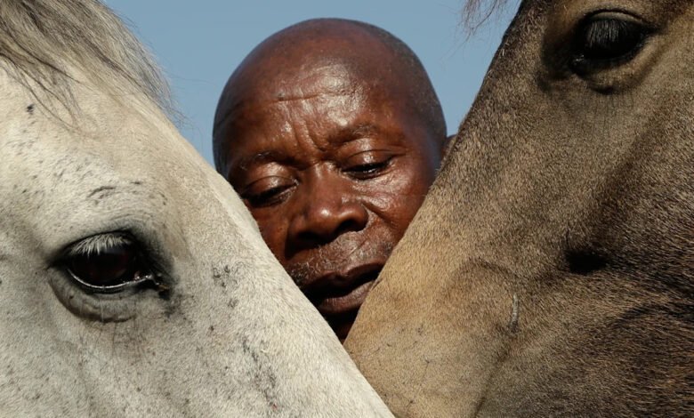 Enos Mafokate, South Africa’s first Black show jumping champion, dies at 80 Enos Mafokate, South Africa’s first Black show jumping champion, dies at 80