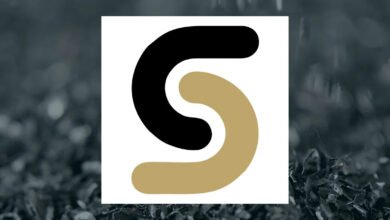 Sibanye Gold H1 Earnings Call Highlights