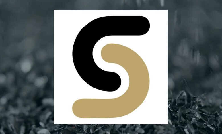 Sibanye Gold H1 Earnings Call Highlights Sibanye Gold H1 Earnings Call Highlights