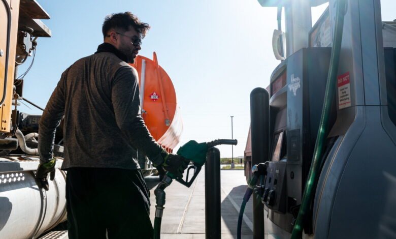 The price of diesel hits a record high The price of diesel hits a record high