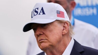 Trump downplays requires AI slowdown