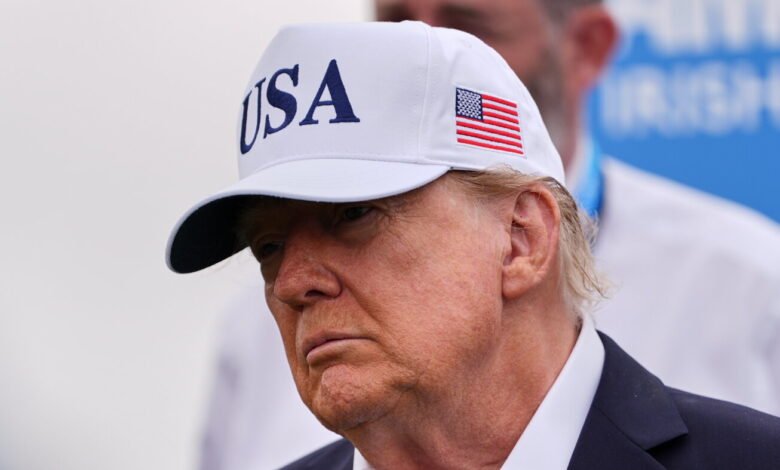Trump downplays requires AI slowdown