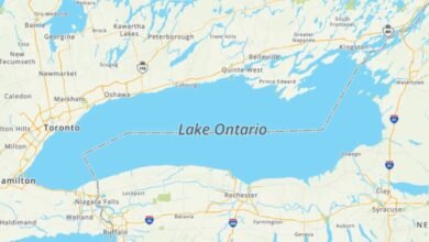MapQuest is now the No. 1 US app after bucking Trump’s ‘Lake America’ renaming