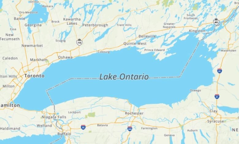 MapQuest is now the No. 1 US app after bucking Trump’s ‘Lake America’ renaming MapQuest is now the No. 1 US app after bucking Trump’s ‘Lake America’ renaming