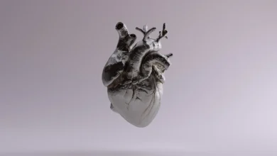 This FDA-Cleared AI May Spot a Hidden Coronary heart Assault Your Physician Misses