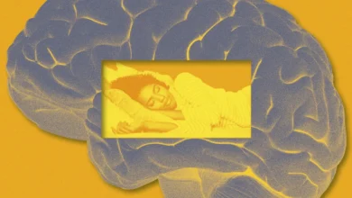 Want Better Recall? New Research Says Do This After Learning Something New