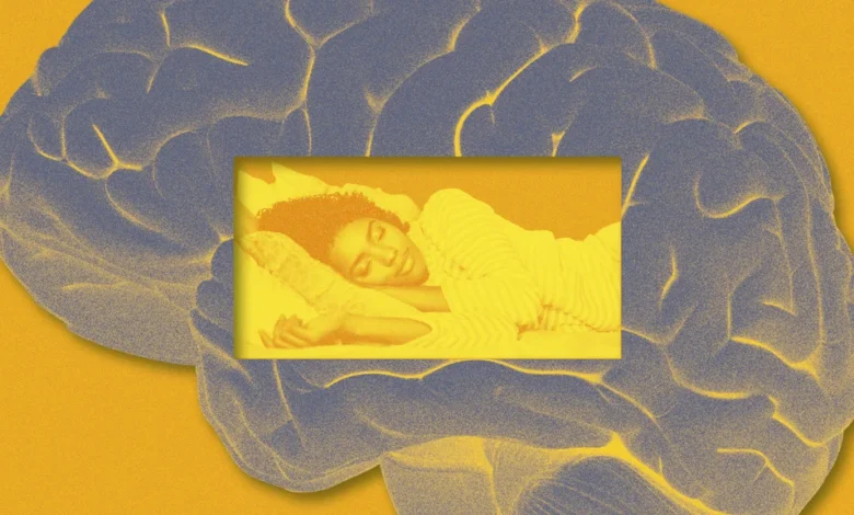 Want Better Recall? New Research Says Do This After Learning Something New Want Better Recall? New Research Says Do This After Learning Something New