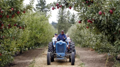 A 6-Generation Cherry and Apple Giant Just Filed for Chapter 11 Bankruptcy. Growers Say It’s Not an Isolated Case