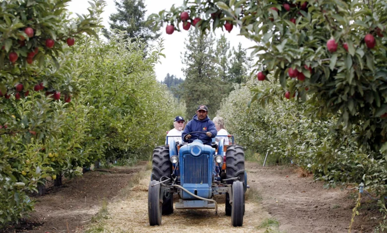 A 6-Generation Cherry and Apple Giant Just Filed for Chapter 11 Bankruptcy. Growers Say It’s Not an Isolated Case