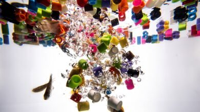 Microplastics React With Water, a New Examine Says. That’s a Drawback for Biology