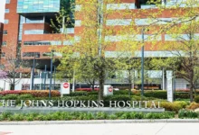 The Johns Hopkins Breach Wasn’t Brought on by a Hacker. It Began With 1 Worker Add