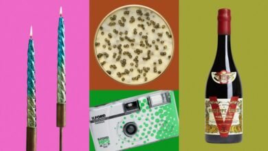 The Greatest Host Items for Being a Stylish and Grateful Visitor