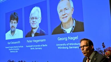 Nobel medication prize goes to three scientists for analysis into mind exercise Nobel medication prize goes to three scientists for analysis into mind exercise
