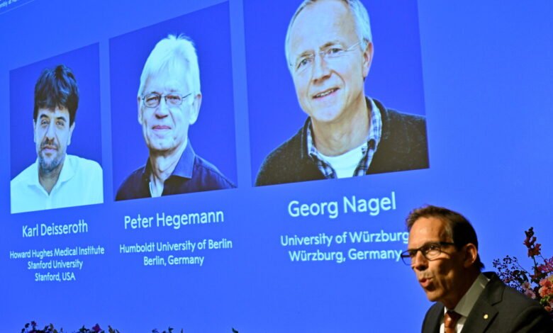 Nobel medication prize goes to three scientists for analysis into mind exercise Nobel medication prize goes to three scientists for analysis into mind exercise